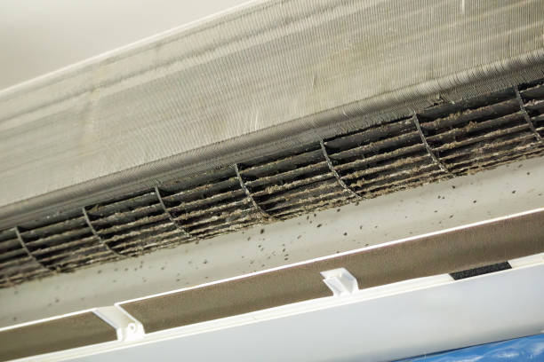 Best Air Quality Test  in Hebron, IN